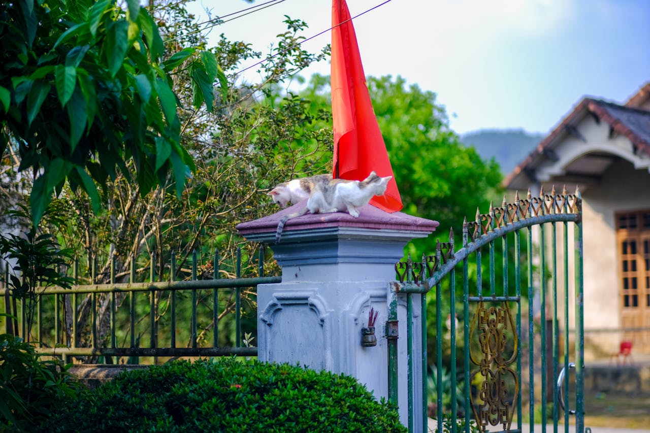 Thám tử lừng danh Conan | Chương 0849