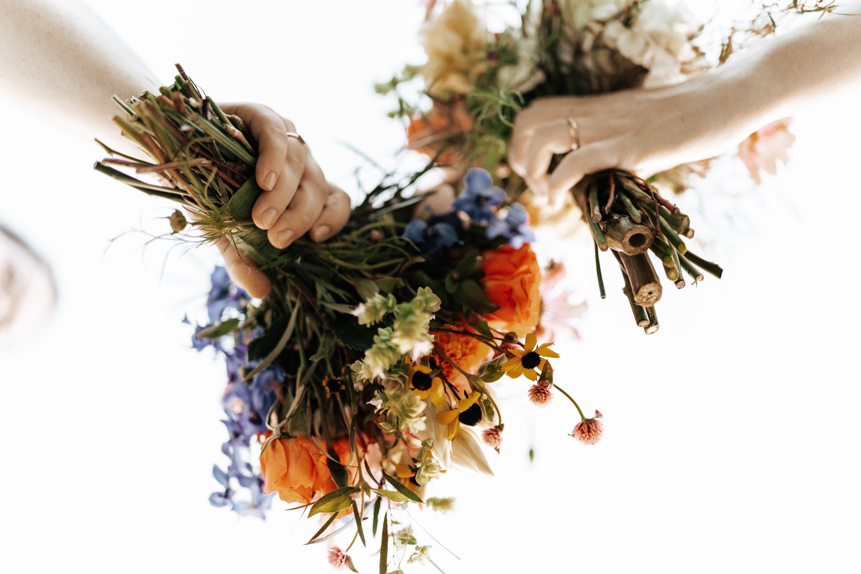 Collaborative Floral Arrangement from Below · Free Stock Photo
