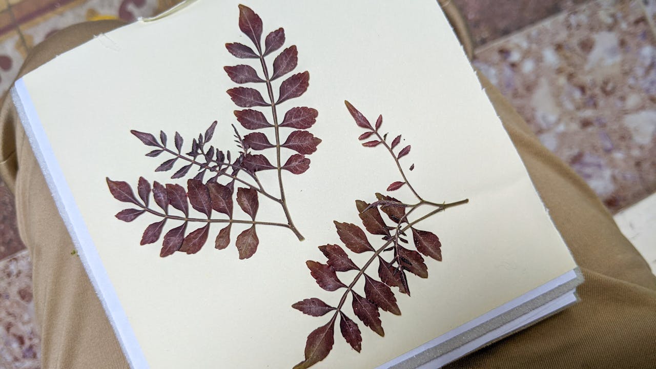 Thám tử lừng danh Conan | Chương 0667