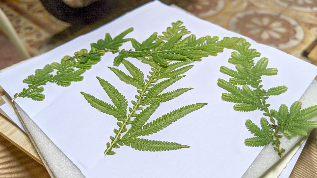 Điều đàn ông chưa hiểu về phụ nữ