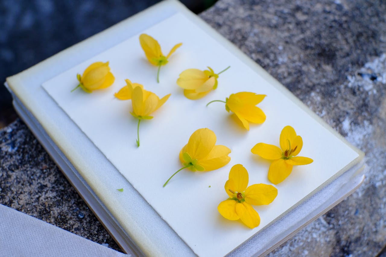 Thảm họa năng lượng tái tạo chết chóc hơn Chernobyl