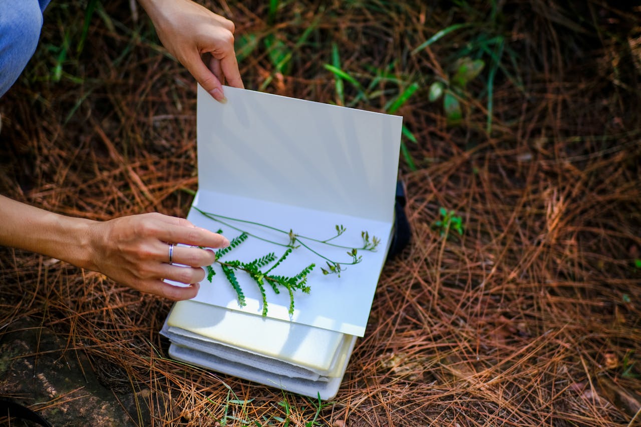 Tìm hiểu về chủ nghĩa hiện tượng phụ