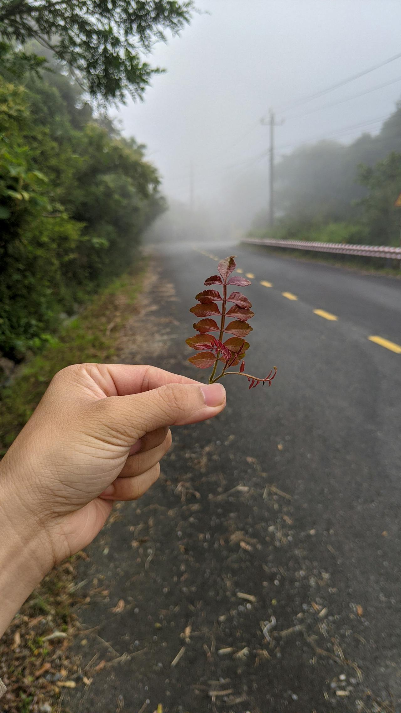 Nhịp sống tại nhà tạm trú vô gia cư