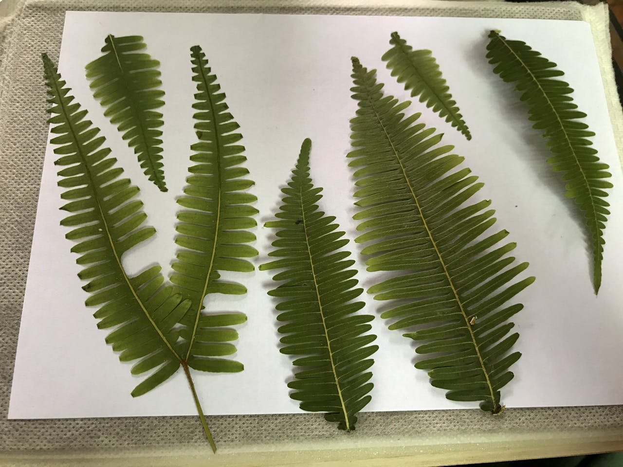 Thiên long bát bộ | Chương 22