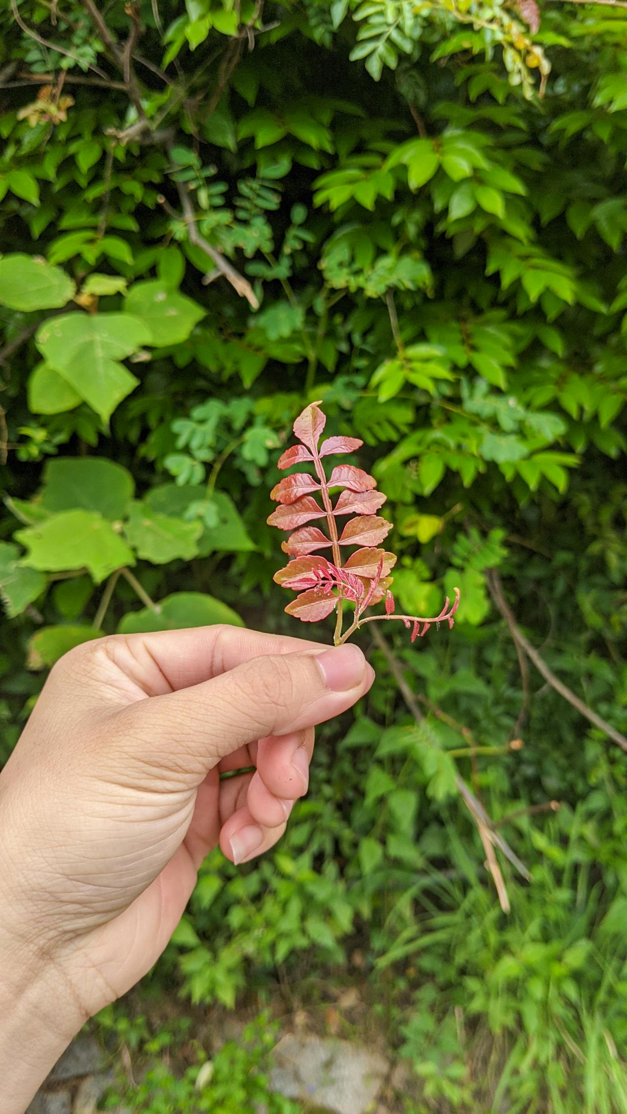 10 giải pháp thu hút khách hàng đến nhà hàng