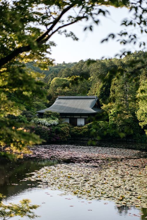Free Peaceful Japanese garden with pagoda surrounded by lush greenery and pond lilies. Stock Photo