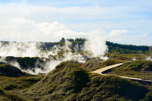 Taupo, New Zealand photo 5
