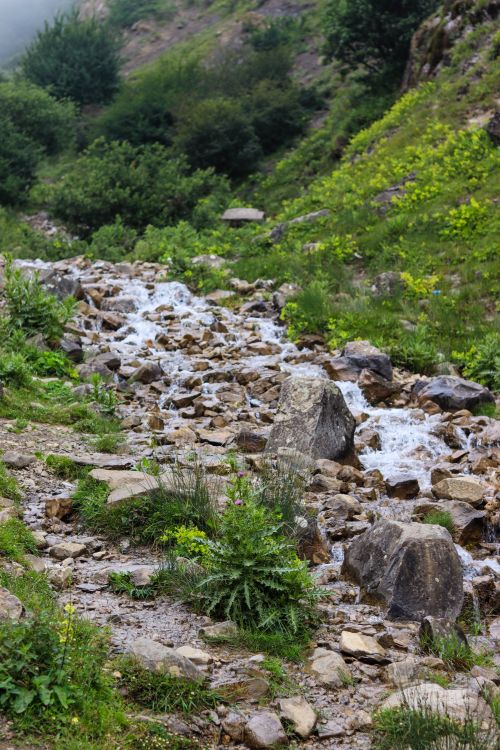 Free Idyllic mountain stream flowing over rocks amidst lush greenery, capturing nature's tranquility. Stock Photo