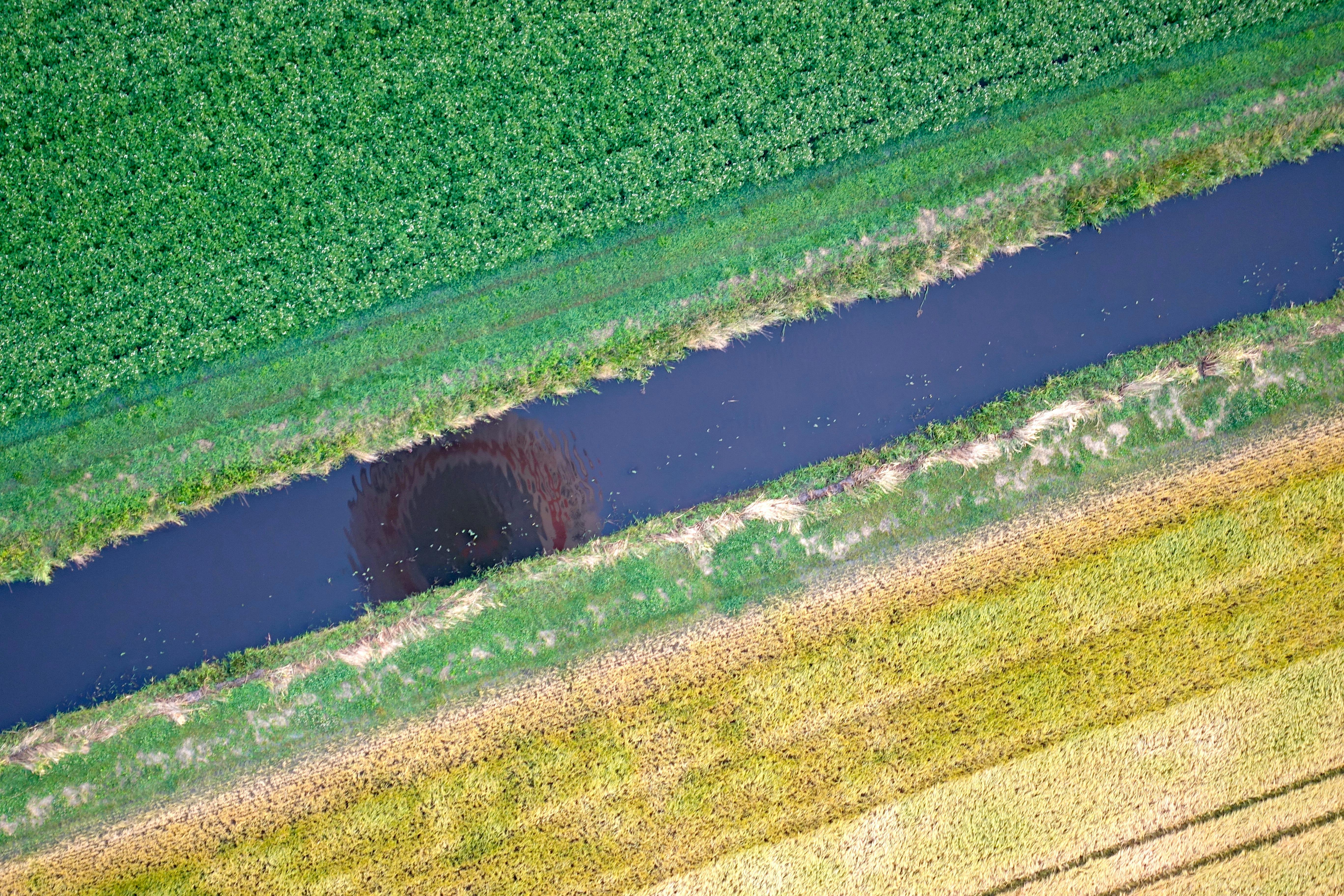 Dean Koontz - The Haunted Earth V2