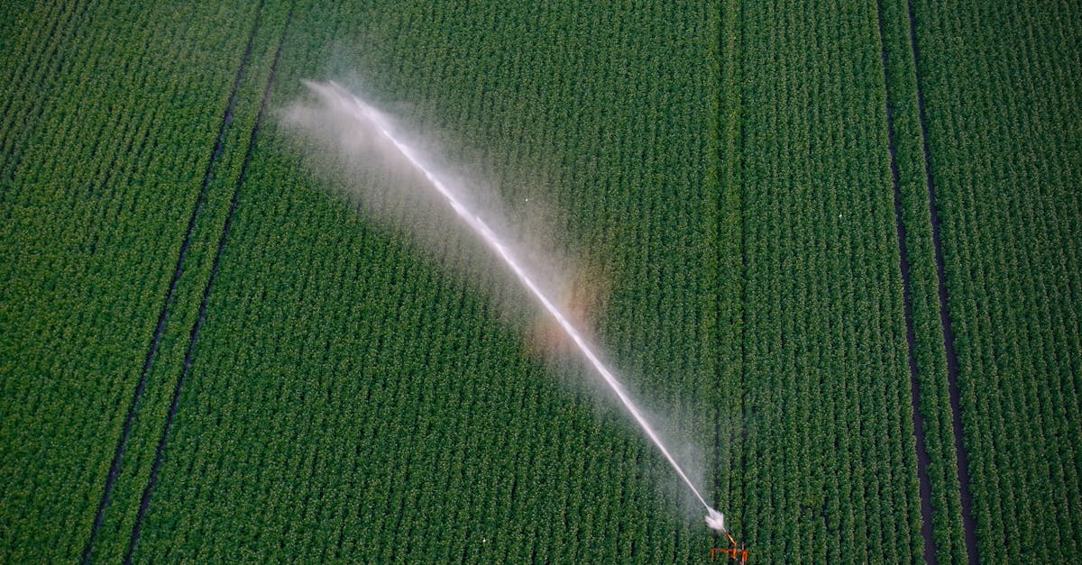 雷虎科技驚喜接獲軍方無人機大單 數量遠超預期