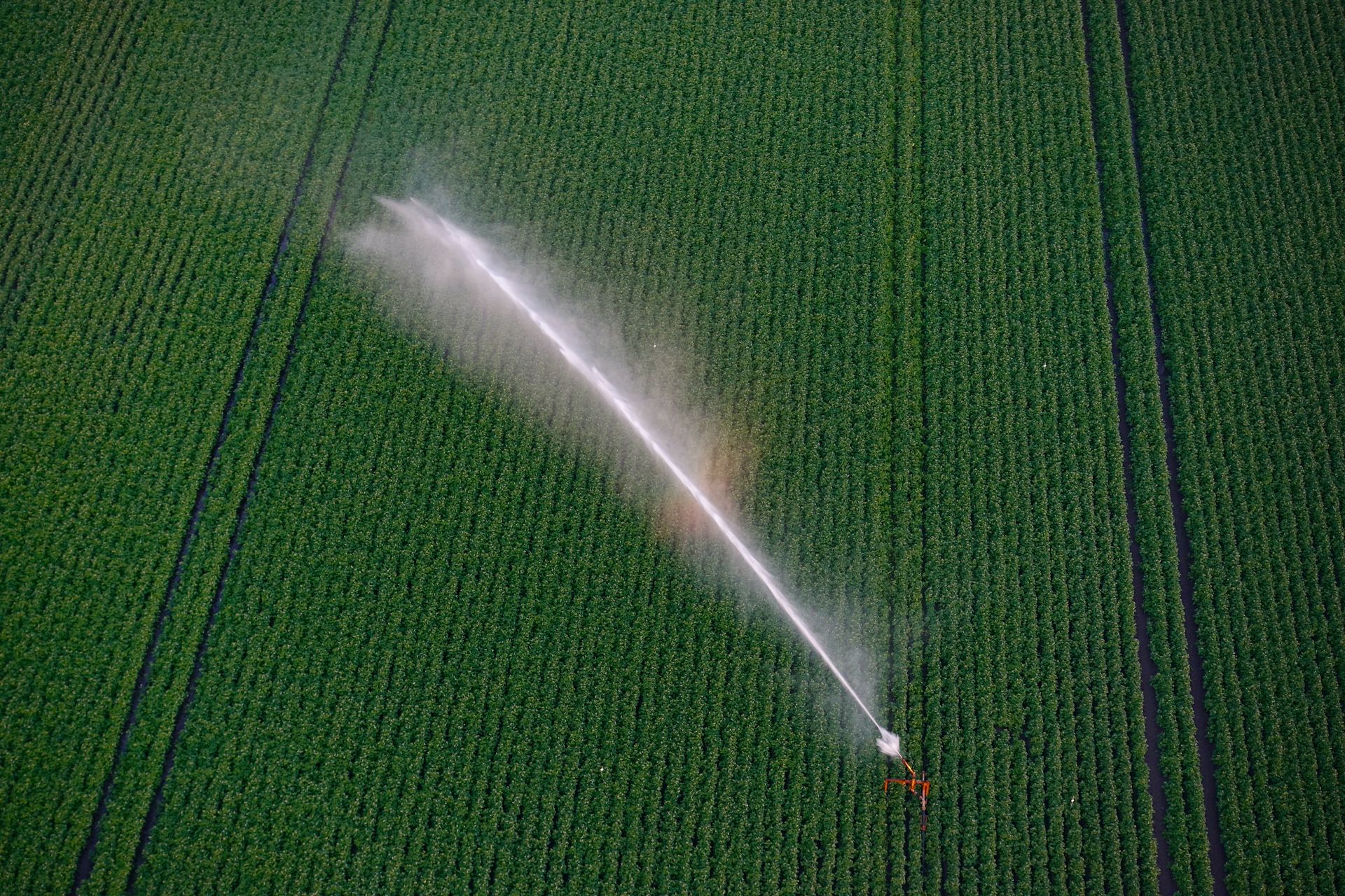 Aerial photograph of an irrigation system watering a green field in Drenthe, Netherlands.