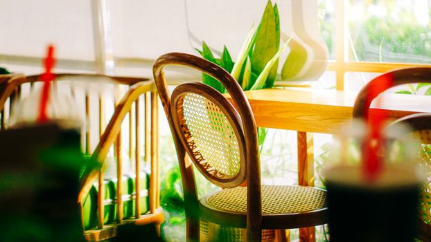 Sunlit cafe interior featuring wooden chairs and tropical plants, creating a warm, inviting ambiance.