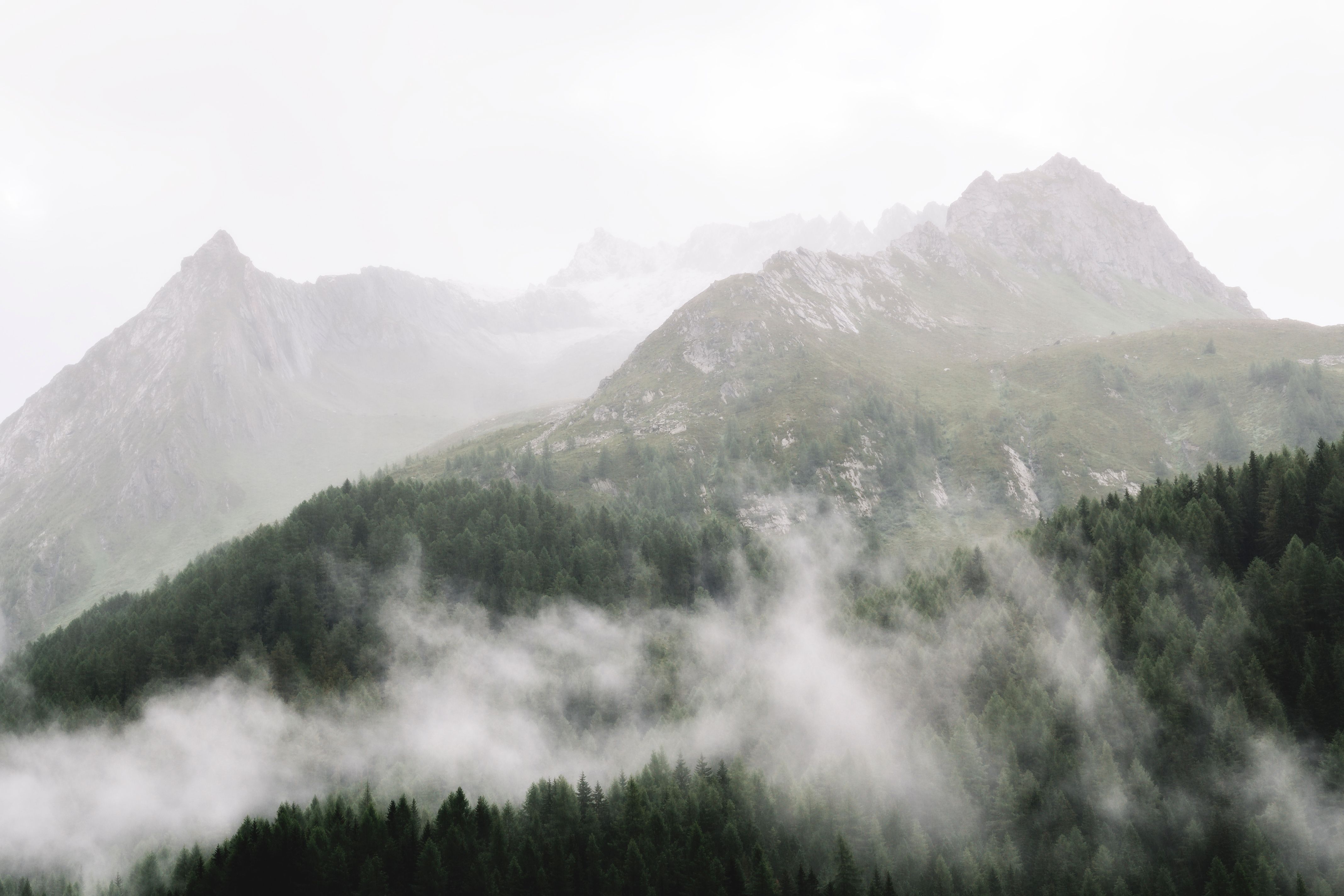 Serene Misty Mountains with Lush Green Forests · Free Stock Photo