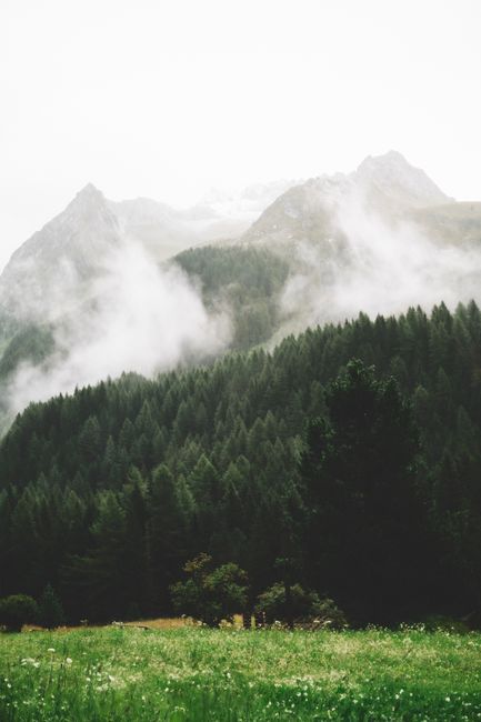 A serene view of misty mountains with dense green forests and a meadow in the foreground.
