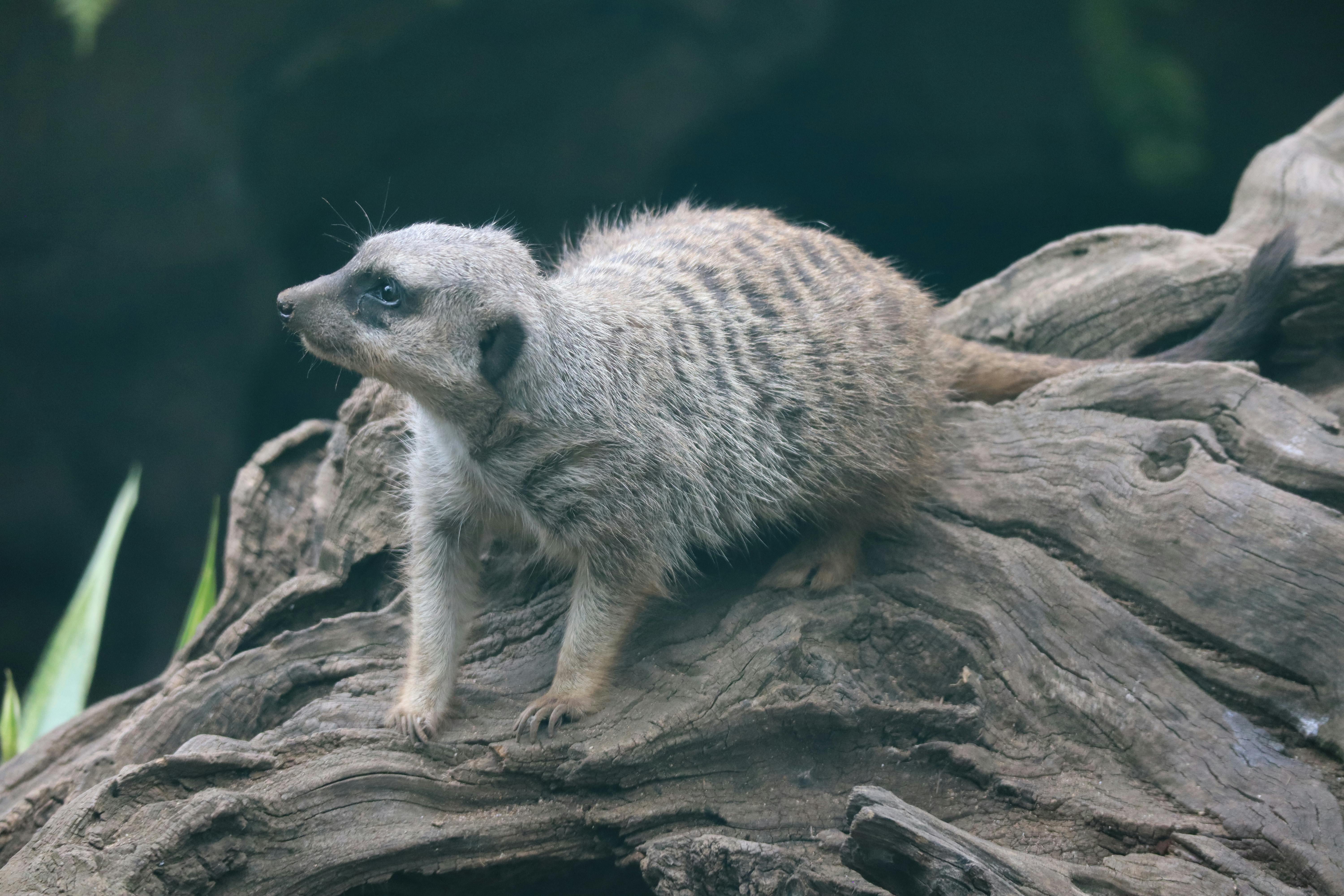 Disrupting Traditional Power Structures: A Path to Social Change