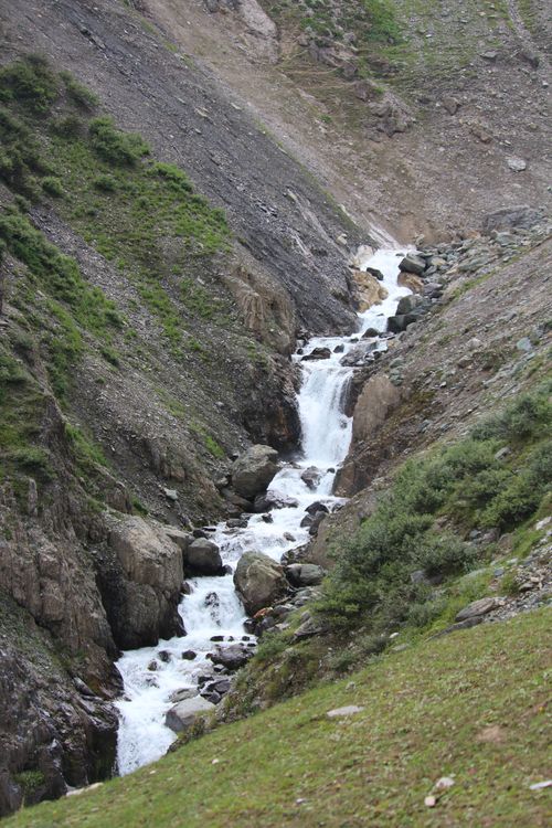 Free Serene view of a mountain stream cascading down rocky terrain, surrounded by summer greenery. Stock Photo