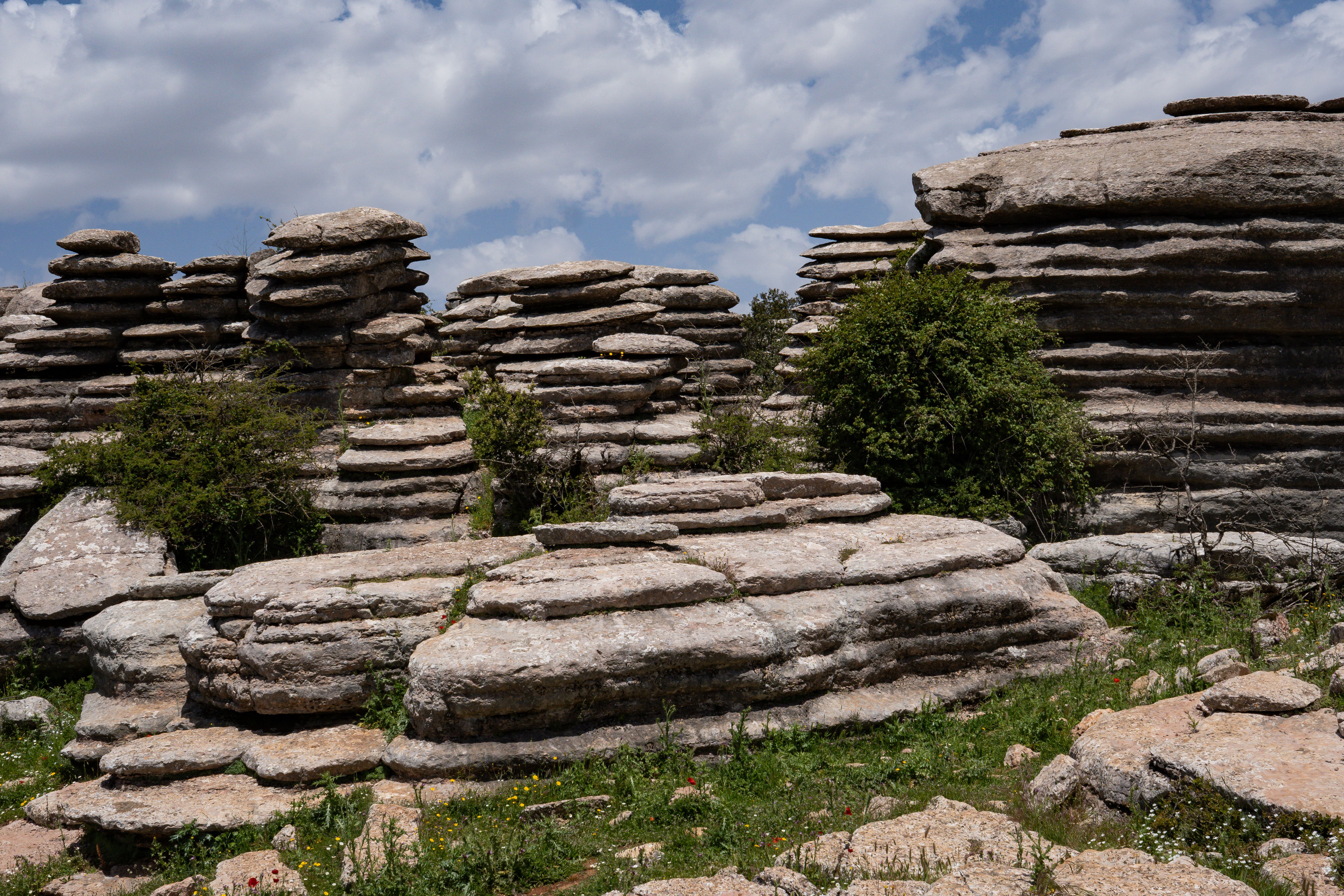 Cañón del Río Lobos Natural Park