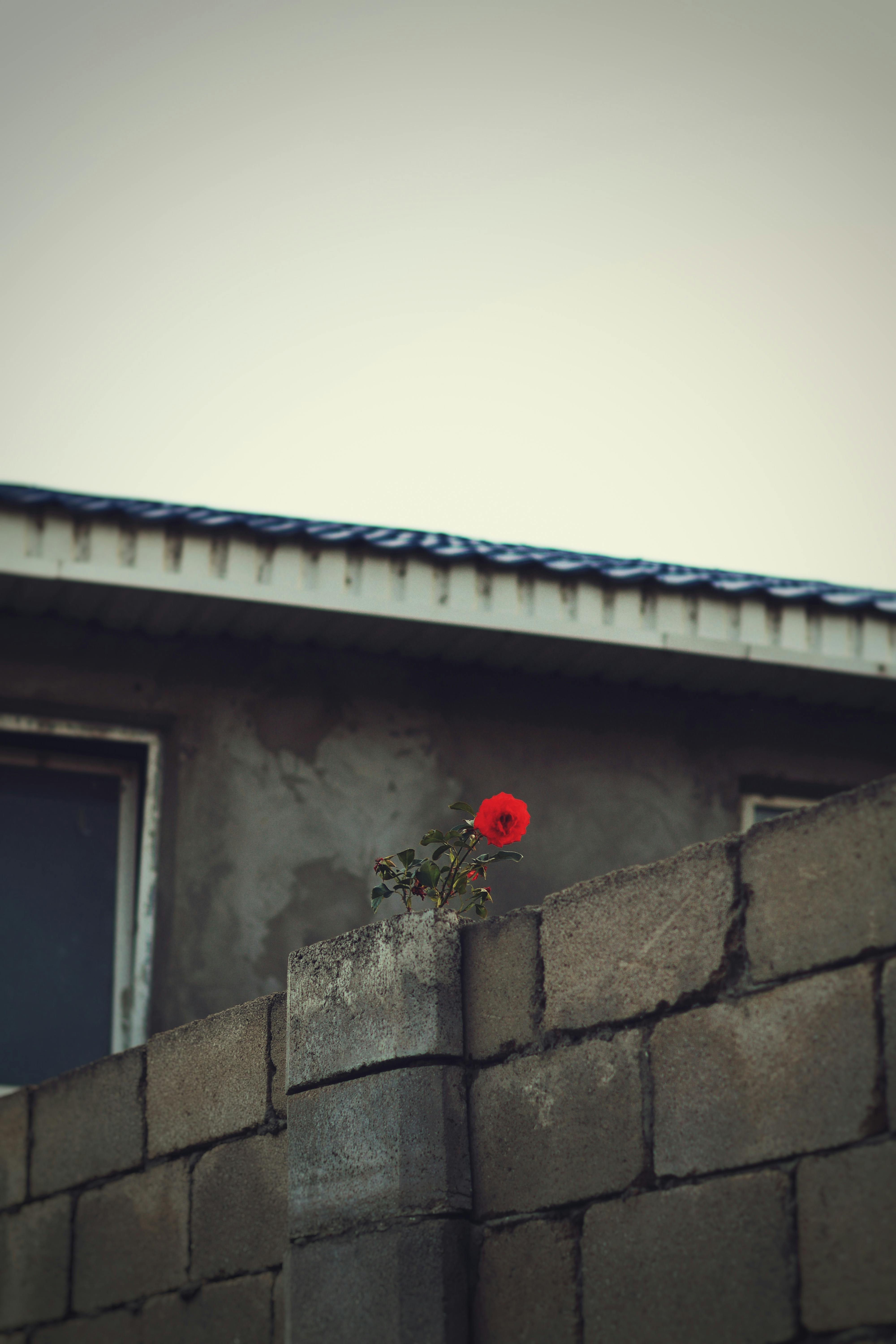 Building Characters Through Adversity