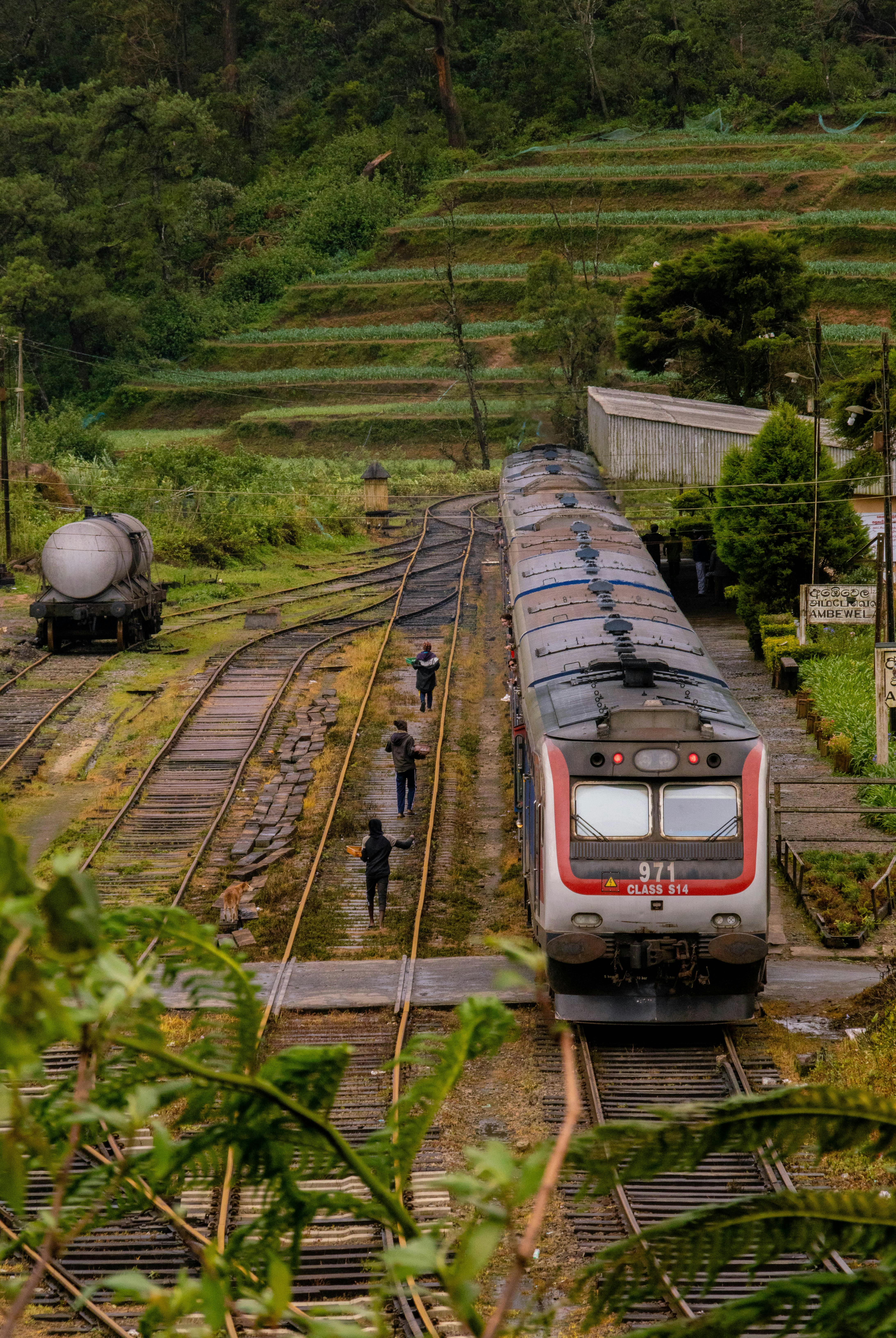 Scenic Railway in Verdant Countryside