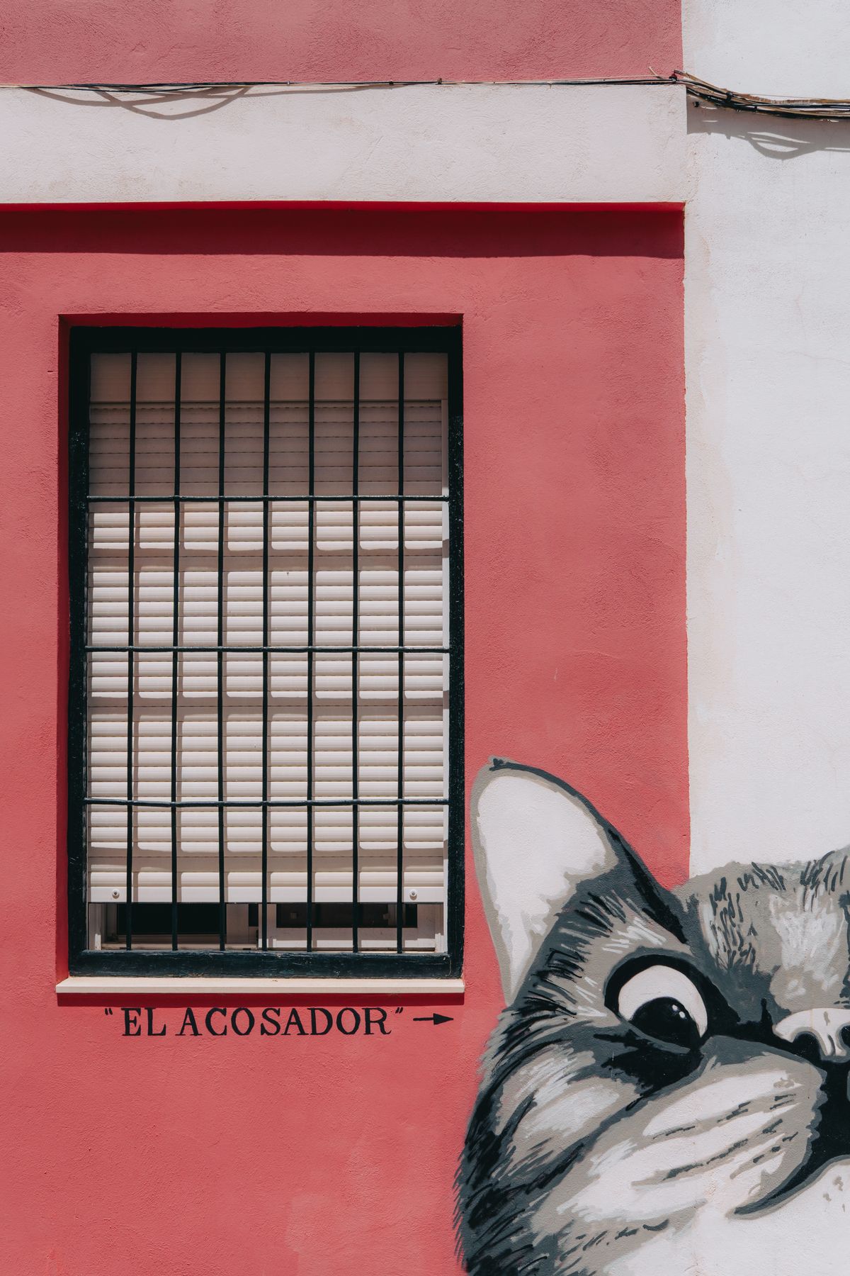 Soho Málaga - mural cu o pisică lângă o fereastră