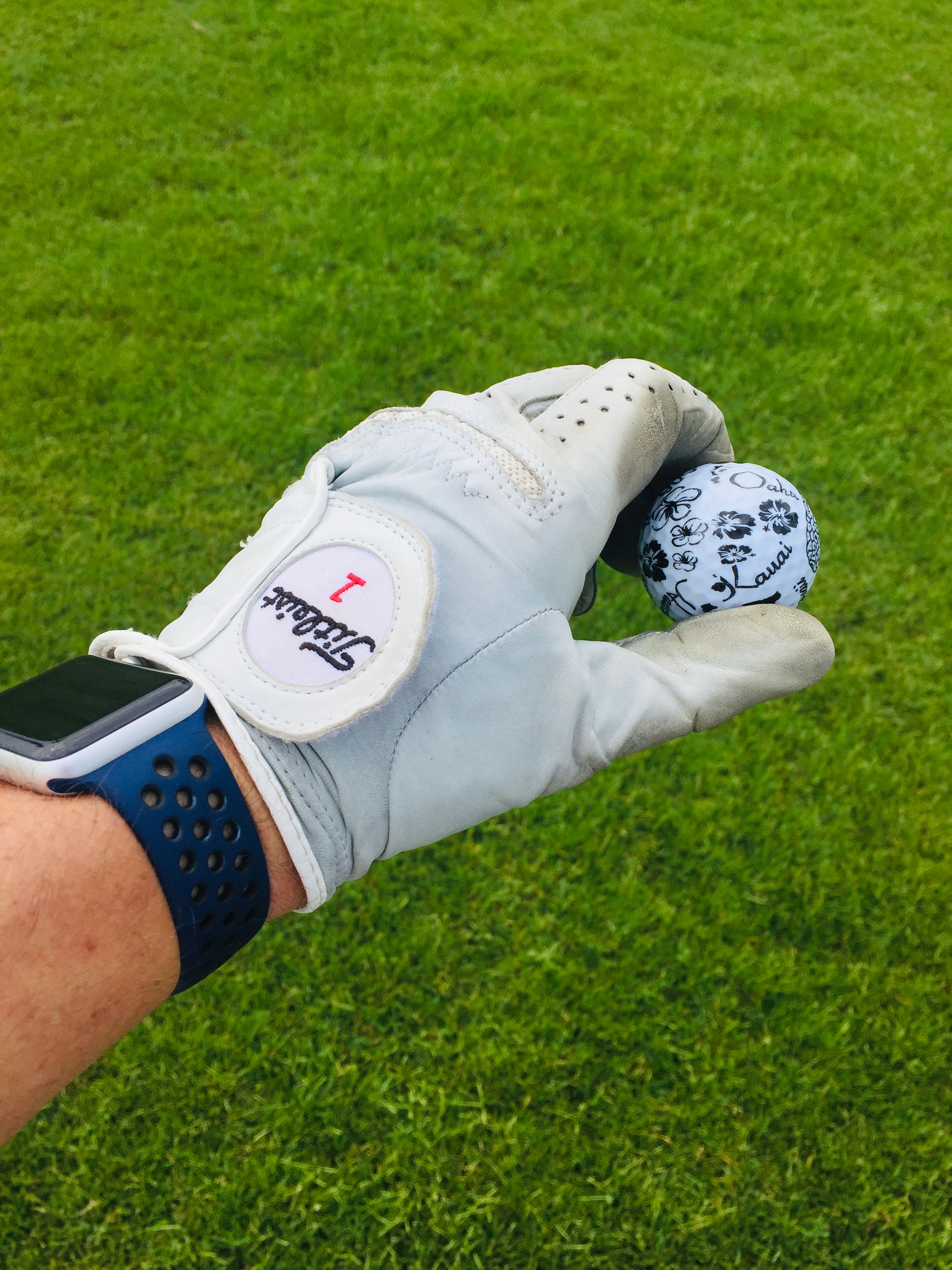 Golf Glove Holding Unique Golf Ball on Green Lawn · Free Stock Photo