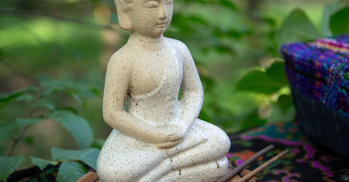 愛莉莎莎新推瑜伽課程 短短2天創近千萬業績 持續引領自媒體被動收入風潮