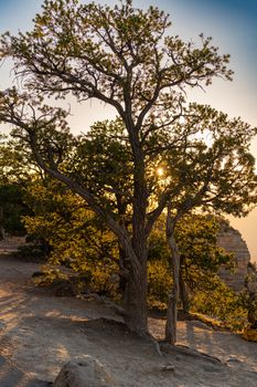 Sonnenuntergang & Baum in der Natur – Elegantes Landschaftsfoto