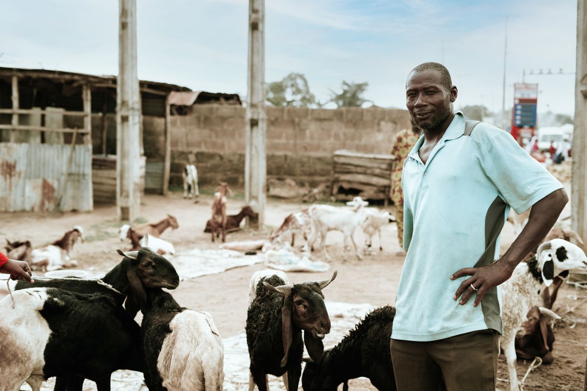 Livestock supply scene