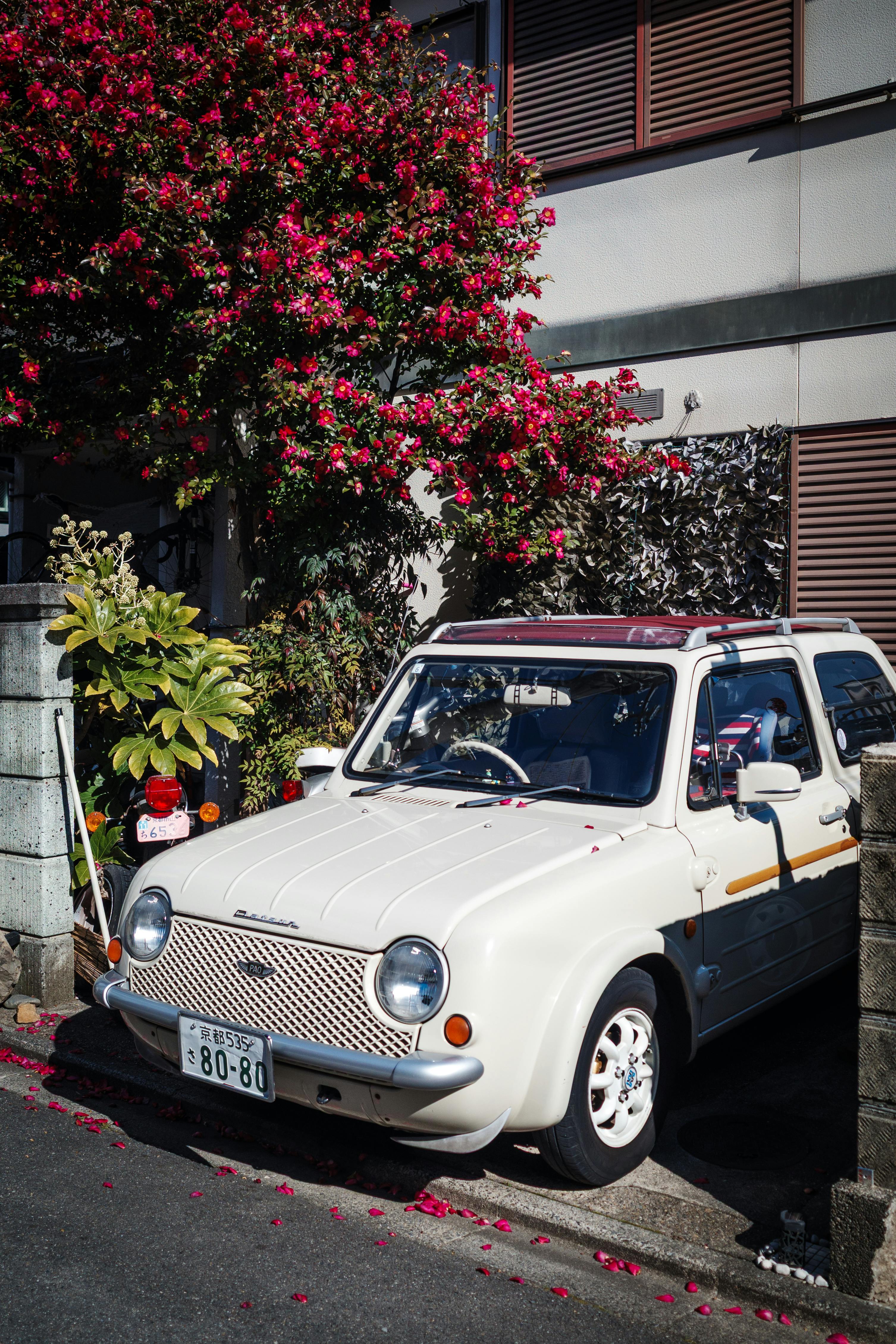 Charming vintage car parked under blooming bougainvillea on a sunny day in Kyoto, Japan.