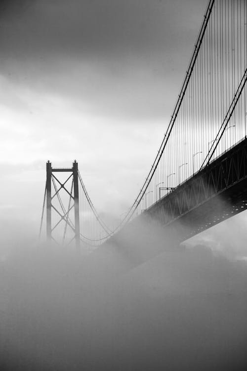 桥的单色照片