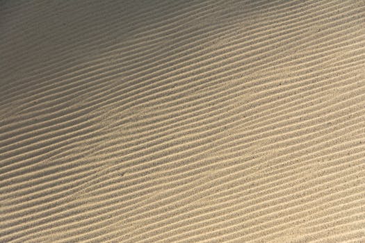 Abstract close-up of rippling sand patterns created by the wind in warm sunlight.