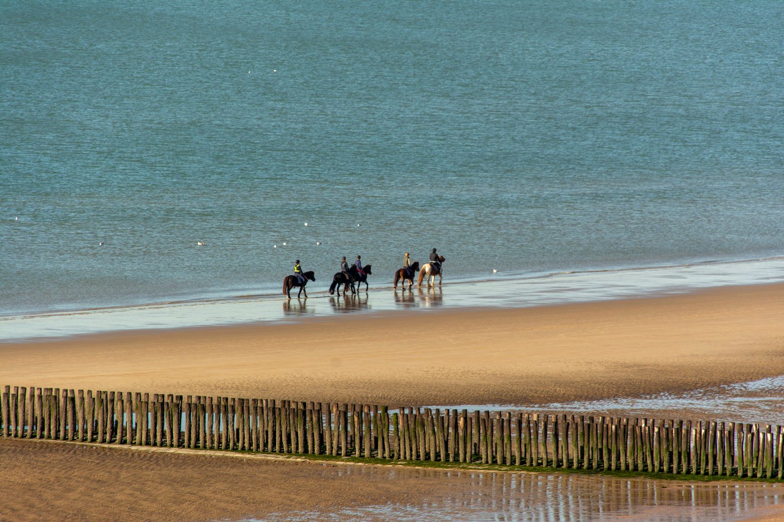 Group enjoying a guided horseback ride beside the sea