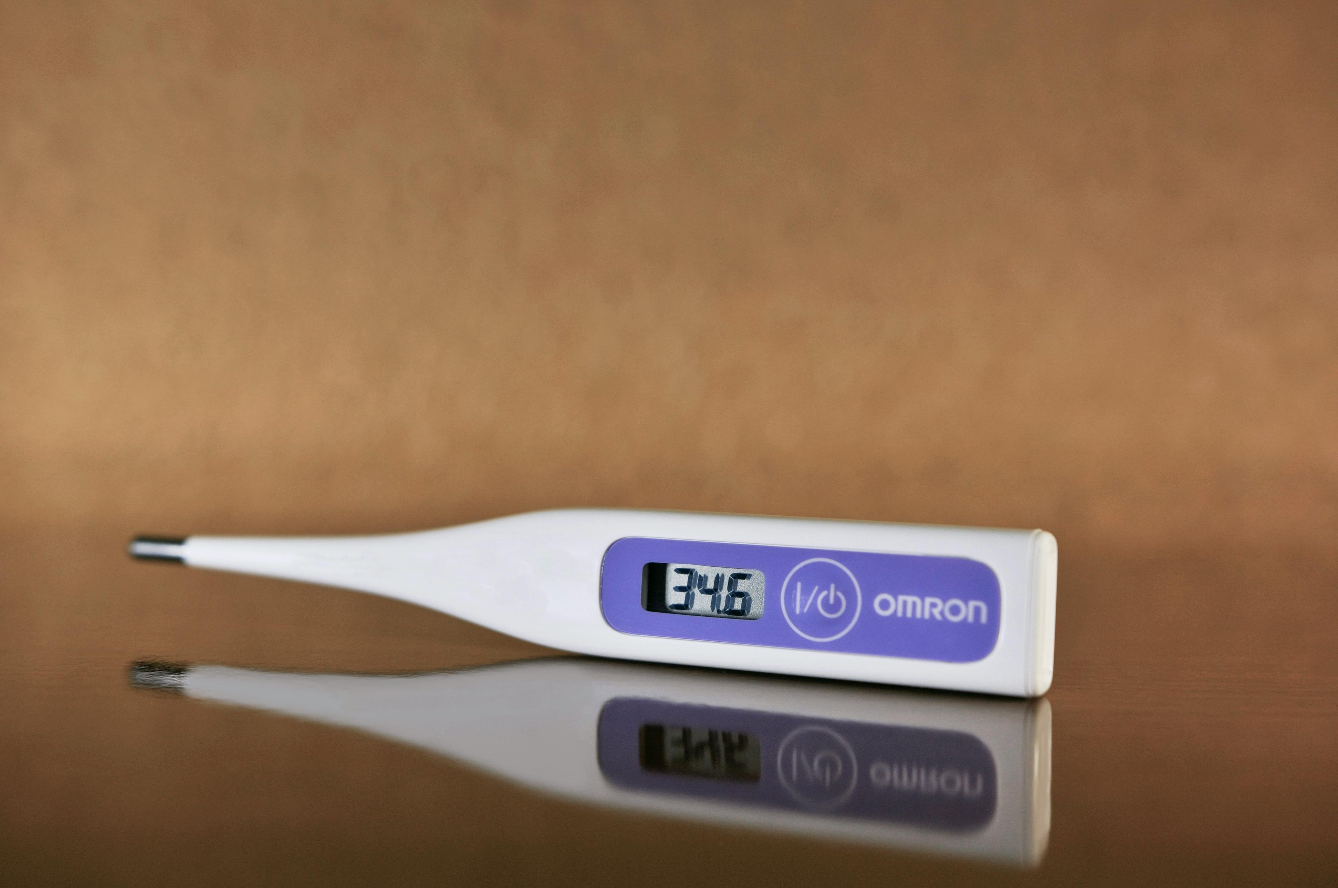 Top 10 BBQ thermometer bluetooth 2026: Review & Comparison