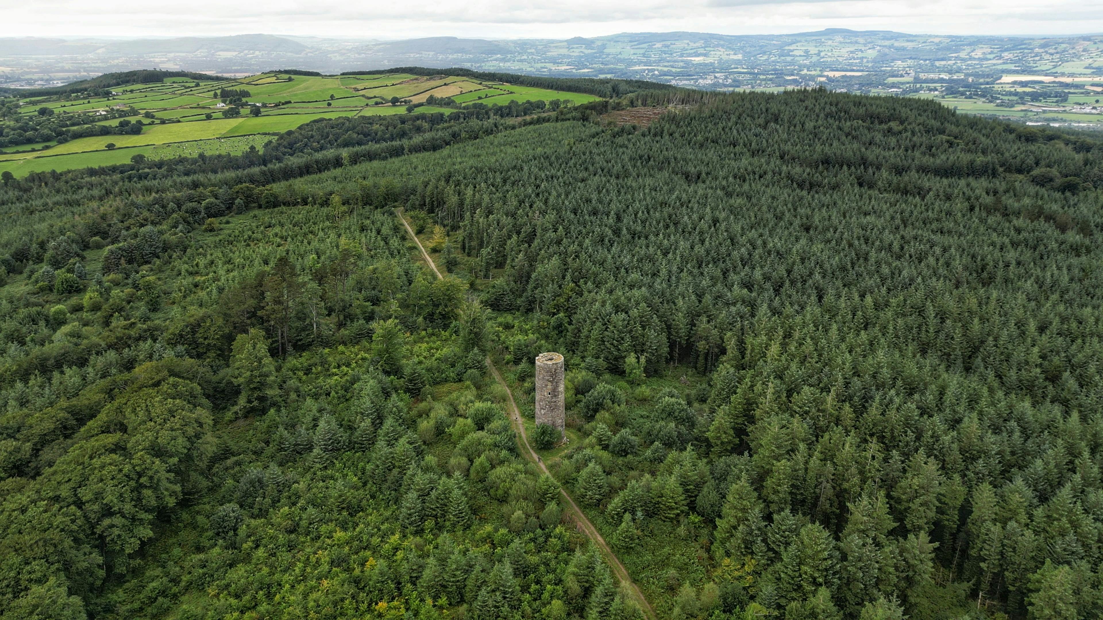 Drone aerial photo of lush green forest and countryside in Ireland with tower.