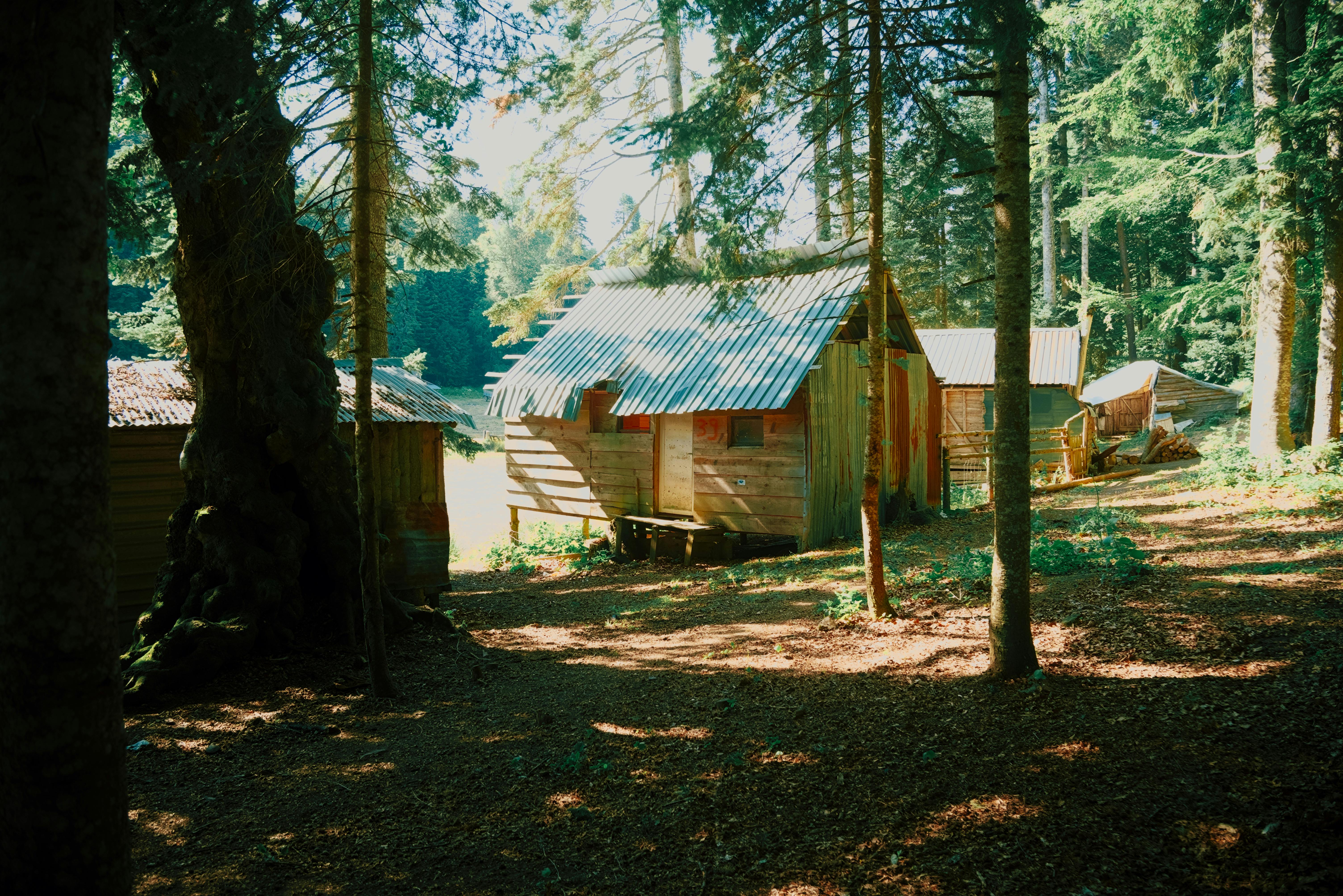 Deepening Your Nature Connection: A Guide to Reconnect with the Outdoors