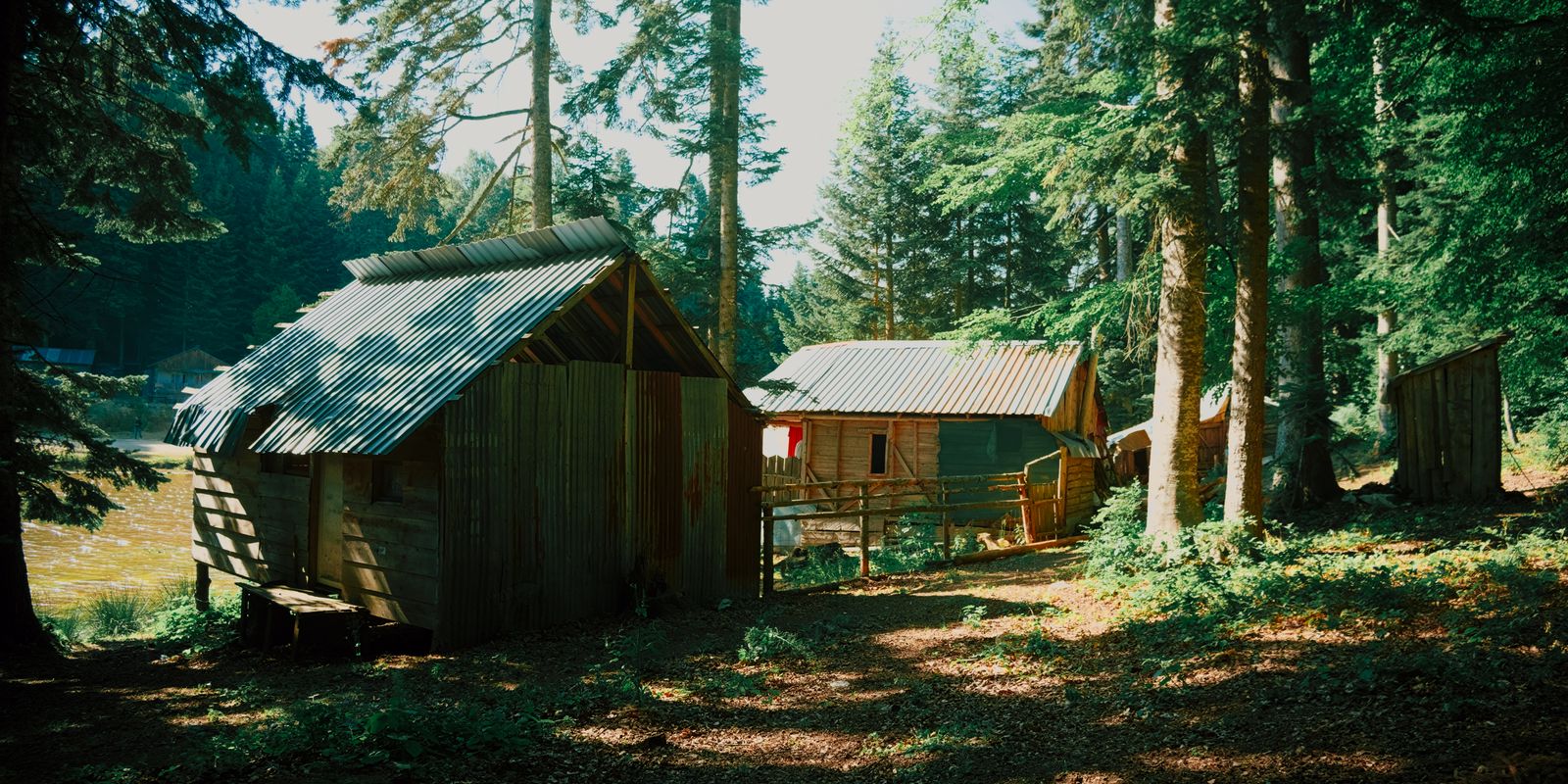 Charming wooden cabins set in a peaceful forest