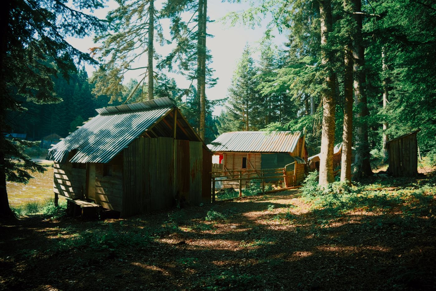 Wooden cabins in a quiet forest clearing