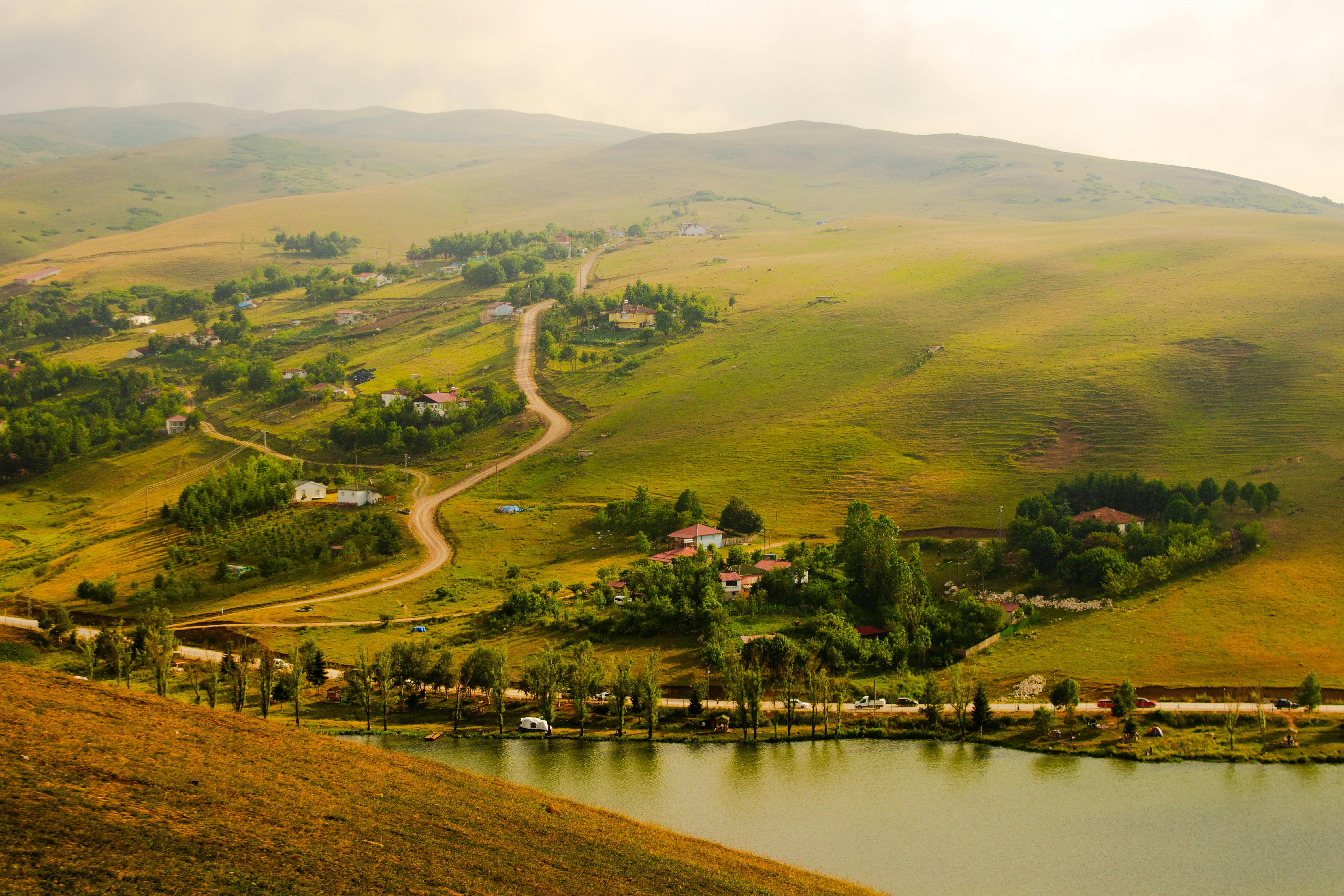 Tranquil rural scene with a winding road and lush fields, symbolizing agricultural challenges.