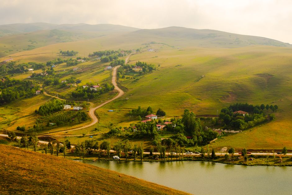 Tranquil rural scene with a winding road and lush fields, symbolizing agricultural challenges.
