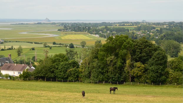 Okavango Delta, Botswana photo 17