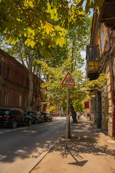 Sunlit street scene in Tbilisi, Georgia, featuring historic architecture and leafy trees.