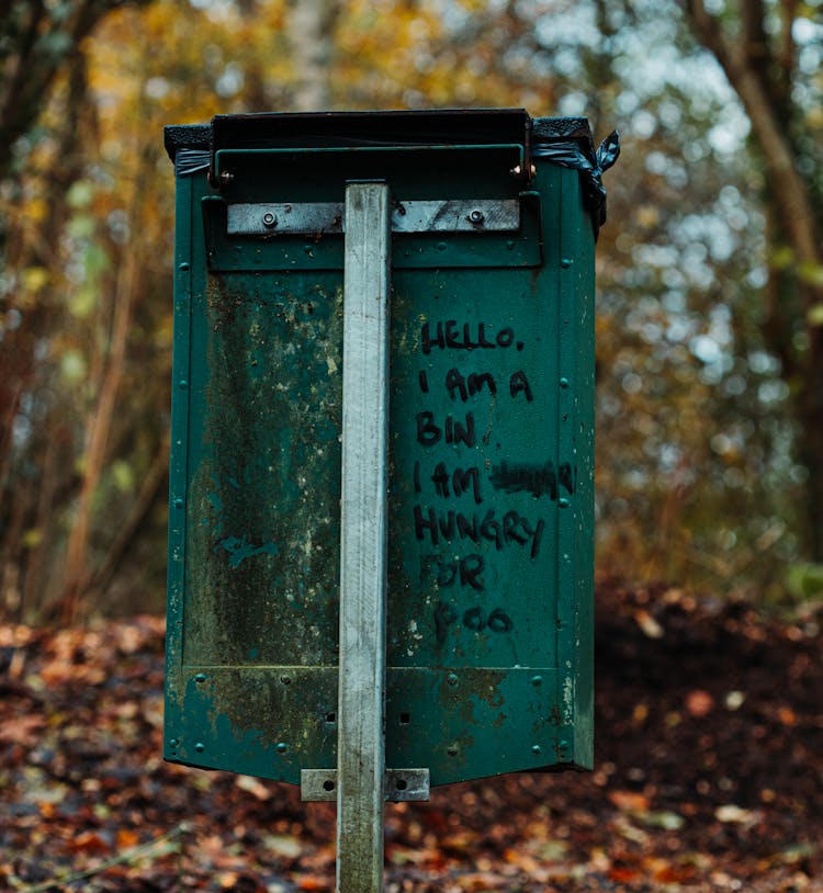 Photo Of Green Bin Near Woods