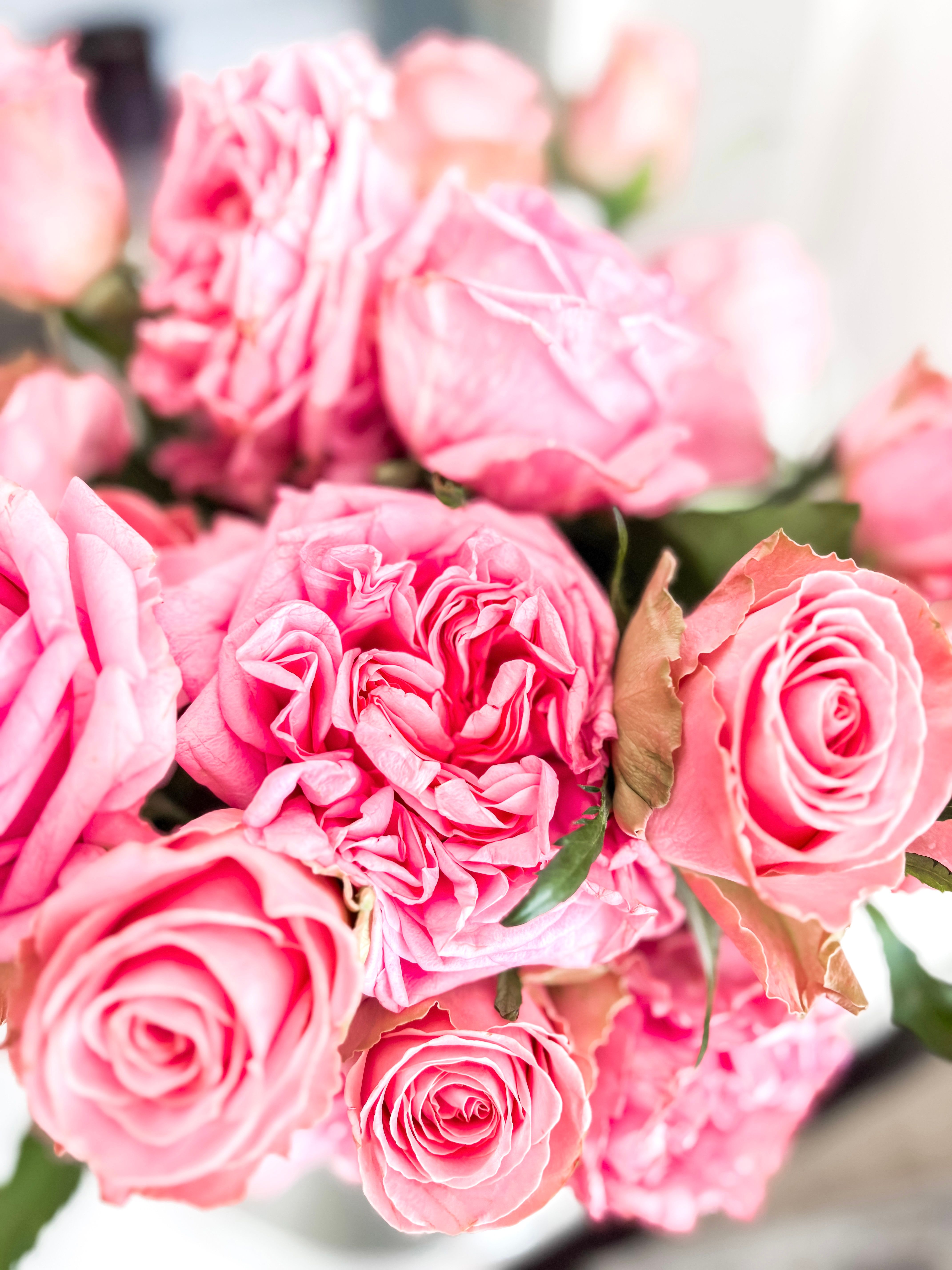 Beautiful Pink Roses Bouquet Close-Up · Free Stock Photo