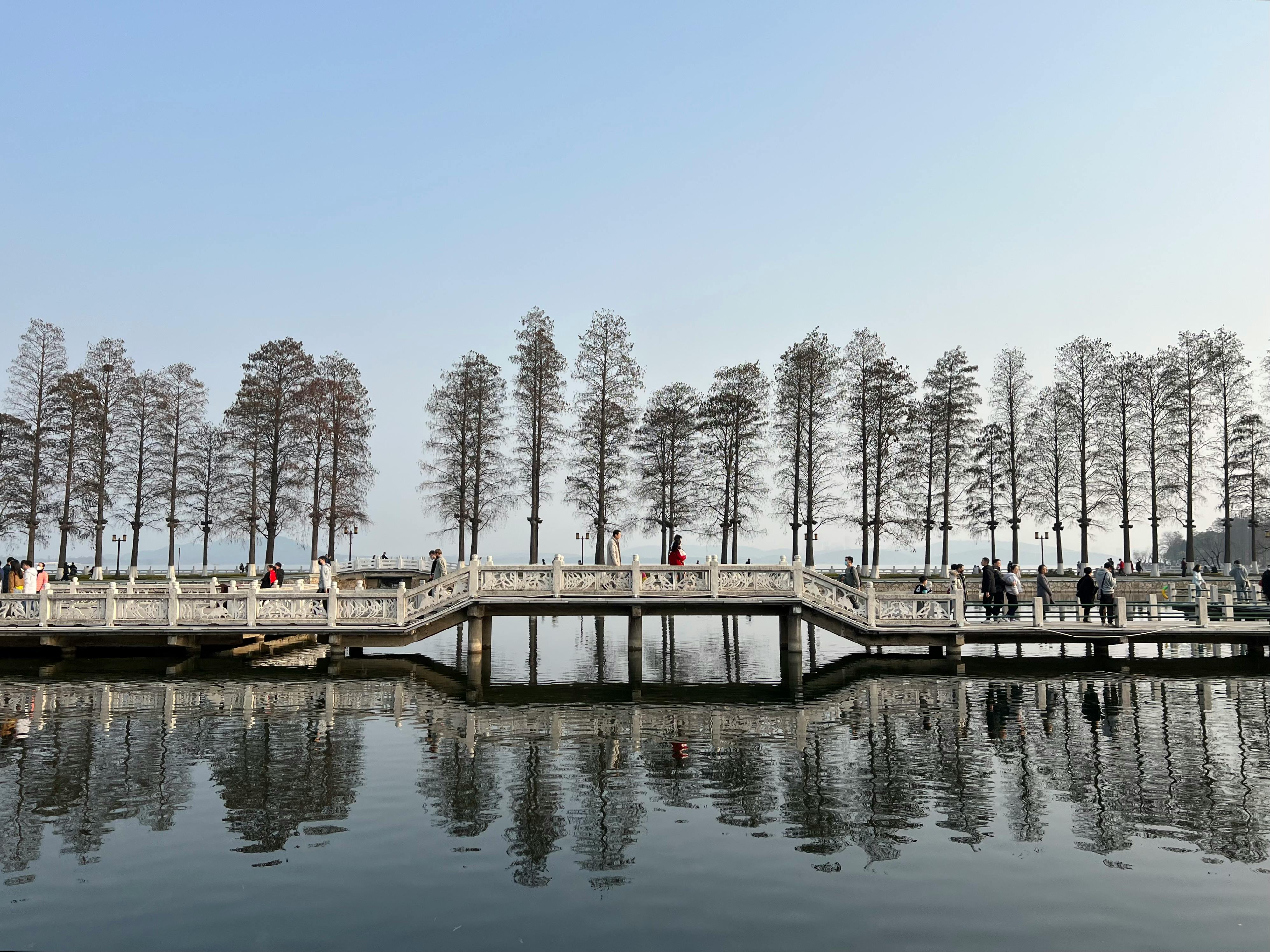 Tranquil lakeside scene with trees and walkway reflection in clear water on a sunny day.