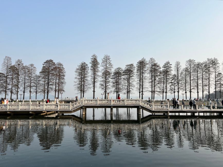 Tranquil lakeside scene with trees and walkway reflection in clear water on a sunny day.