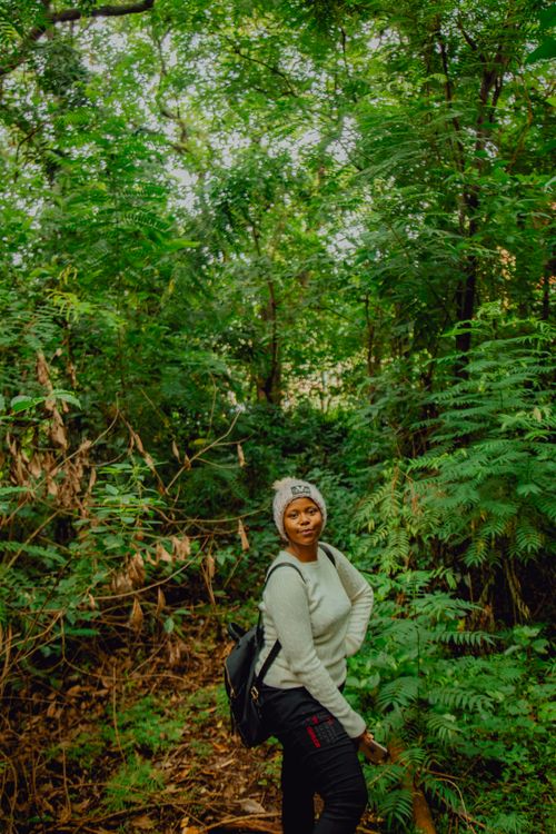 Free A woman hikes through a vibrant green forest, enjoying nature and adventure. Stock Photo