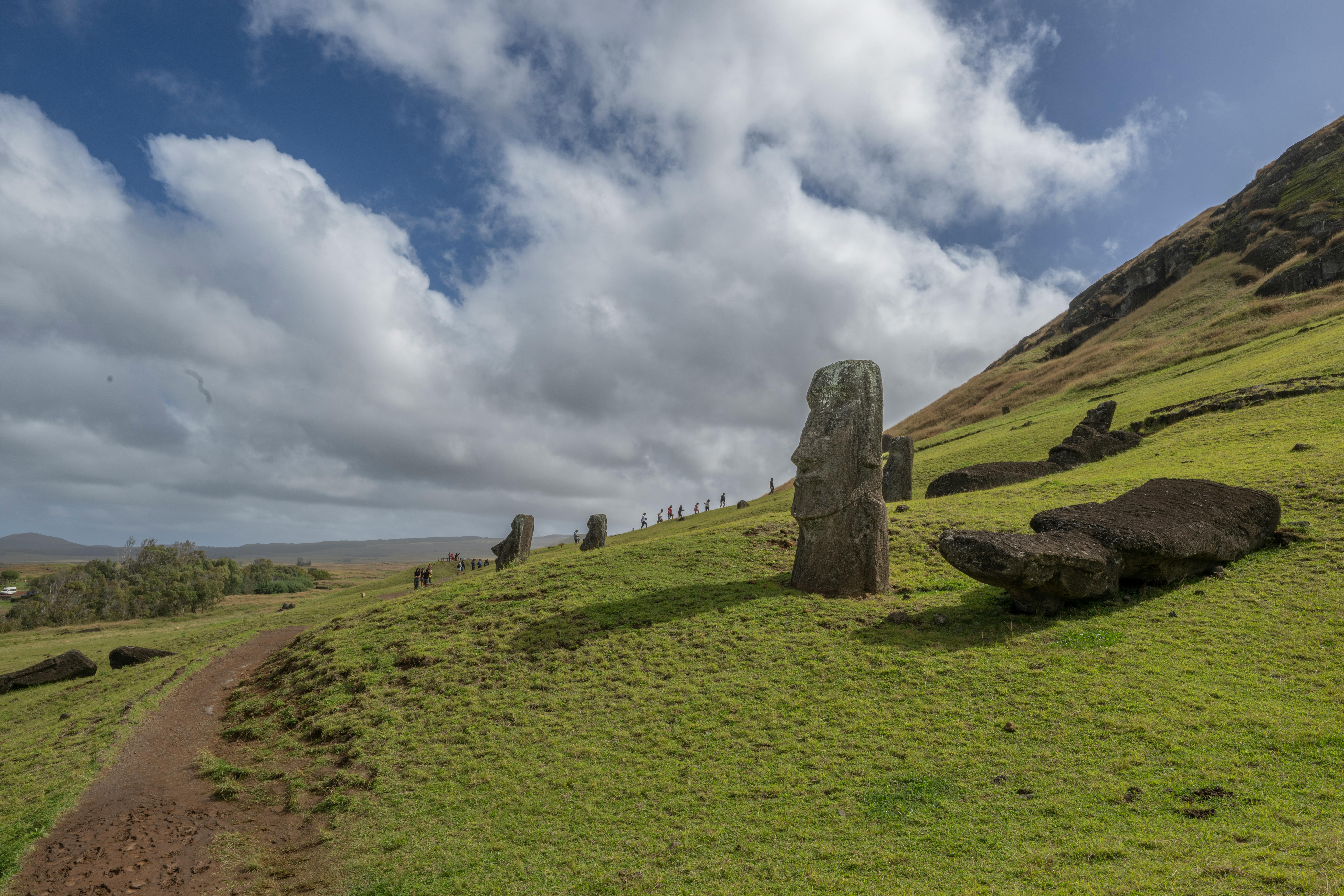 Discover the Mysterious Superfoods You Must Try