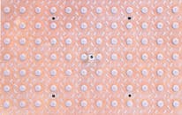 Close-Up Shot of White Buttons