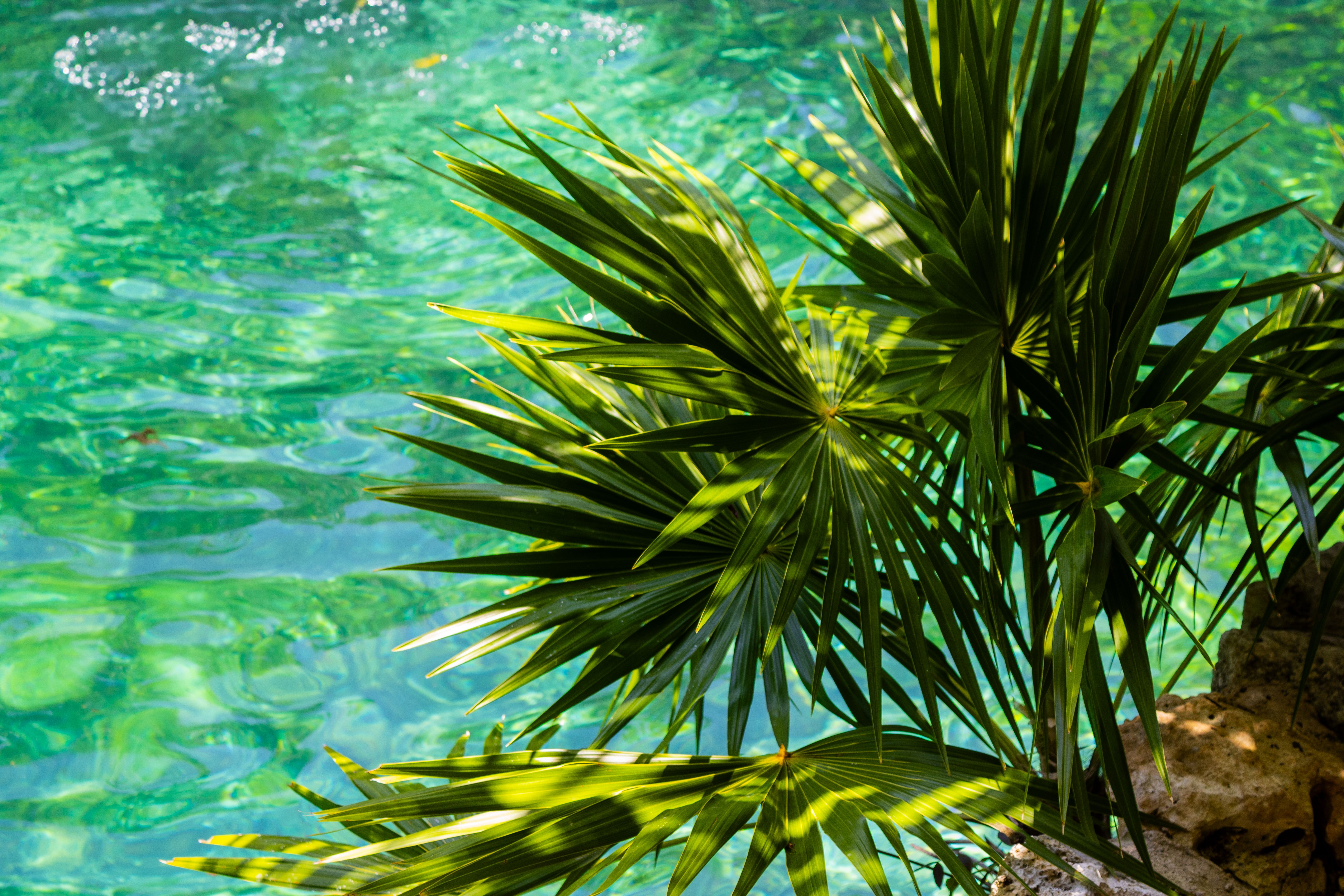 Laguna Dudú, Río San Juan