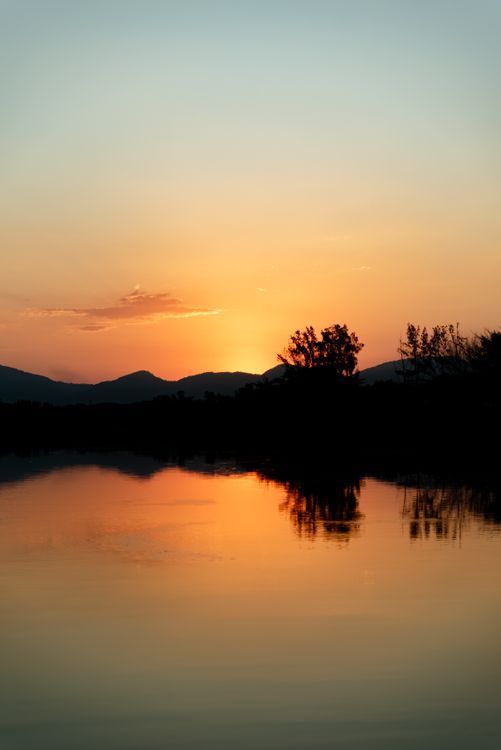 De franc Natura Foto d'estoc